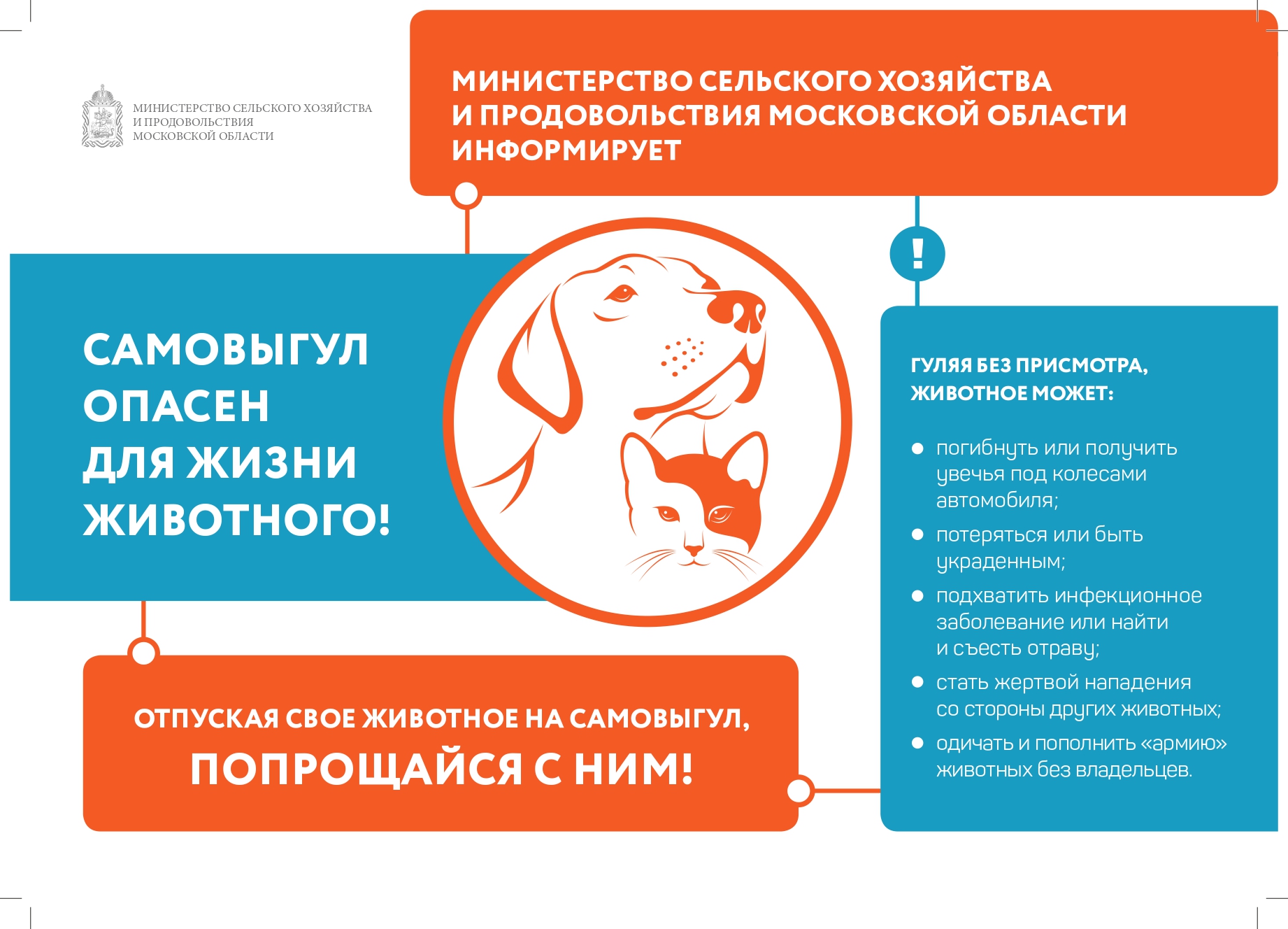 Об опасности самовыгула домашних животных