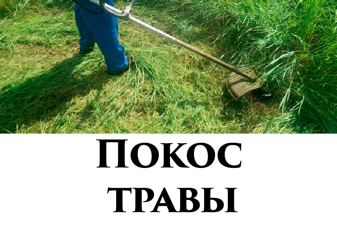 Покос травы по адресу: ул. Инженерная, д. 3