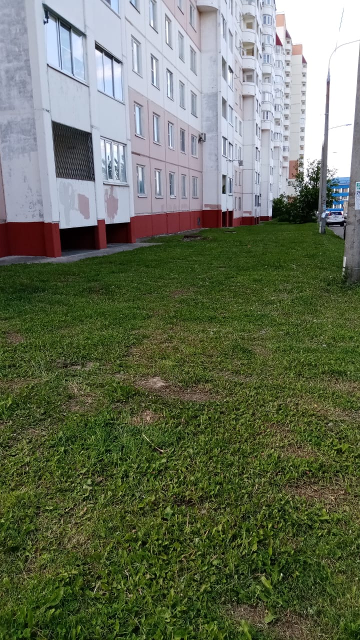 Покос травы по адресу ул. Школьная д. 10